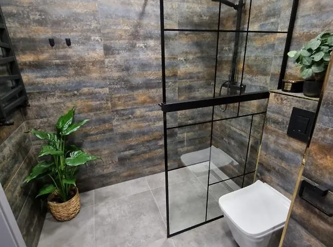 T18 Port דירה קולובז'ג